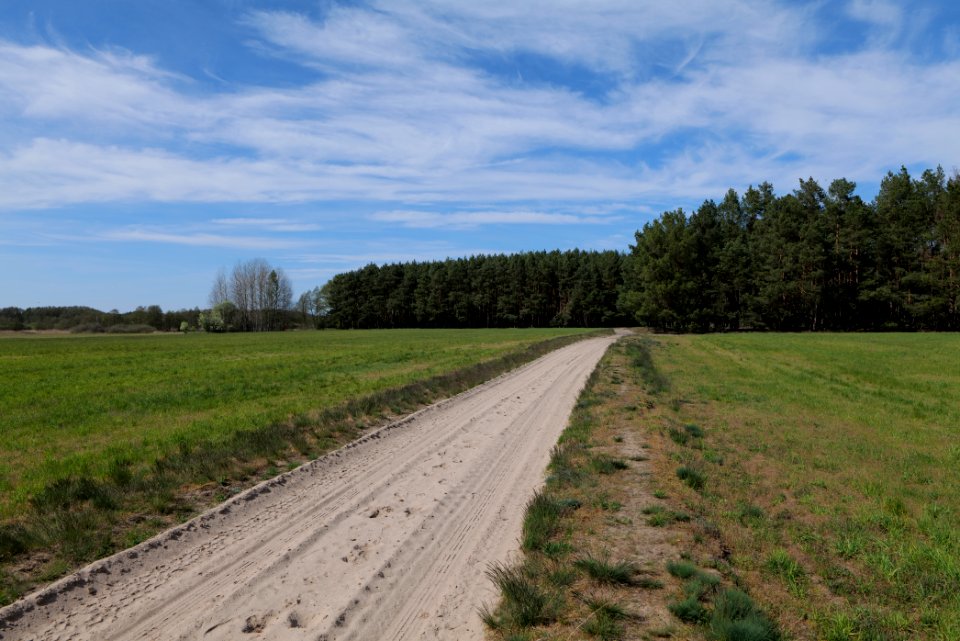 Wehrdamm Mellensee Kleiner Wünsdorfer See 2021-05-09 91