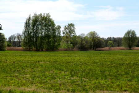 Wehrdamm Mellensee Kleiner Wünsdorfer See 2021-05-09 87