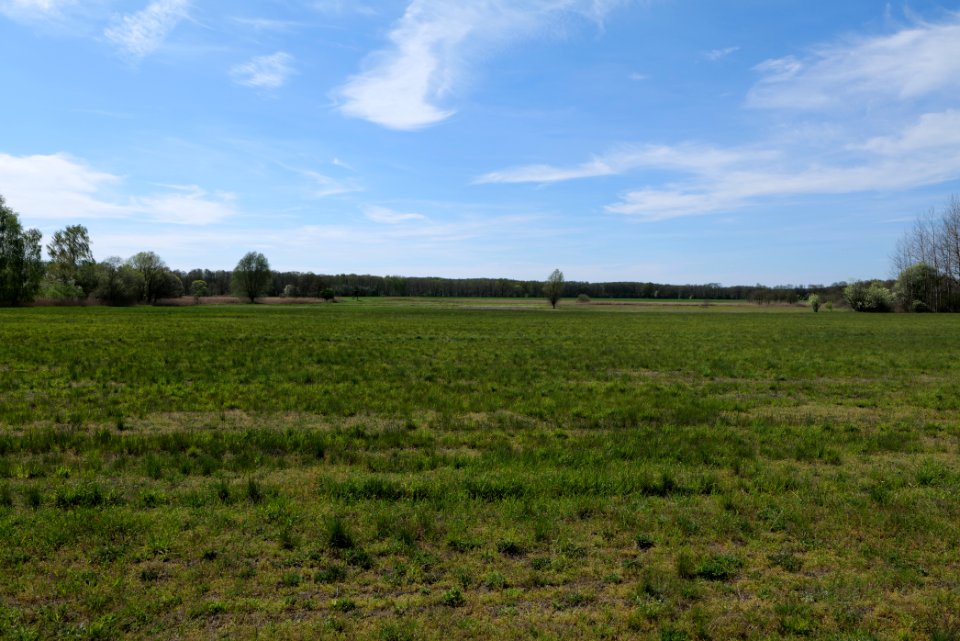 Wehrdamm Mellensee Kleiner Wünsdorfer See 2021-05-09 86