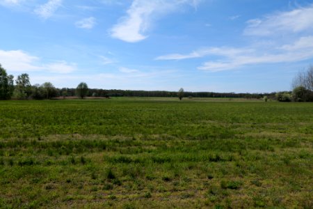 Wehrdamm Mellensee Kleiner Wünsdorfer See 2021-05-09 86
