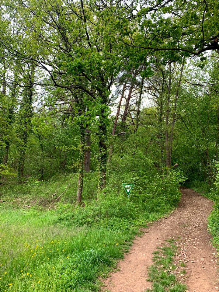 Wehrley von Runkel, (4)