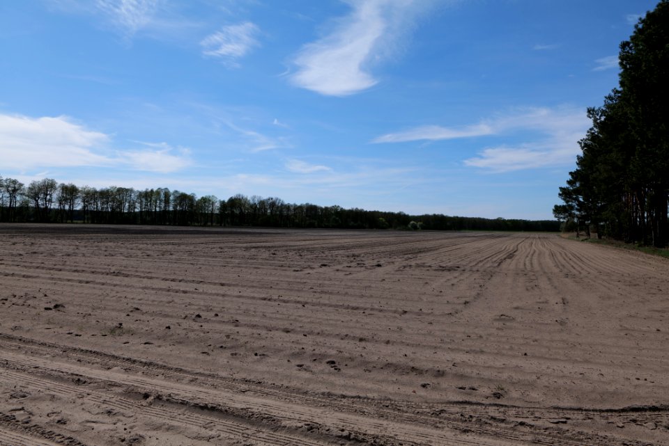 Wehrdamm Mellensee Kleiner Wünsdorfer See 2021-05-09 97