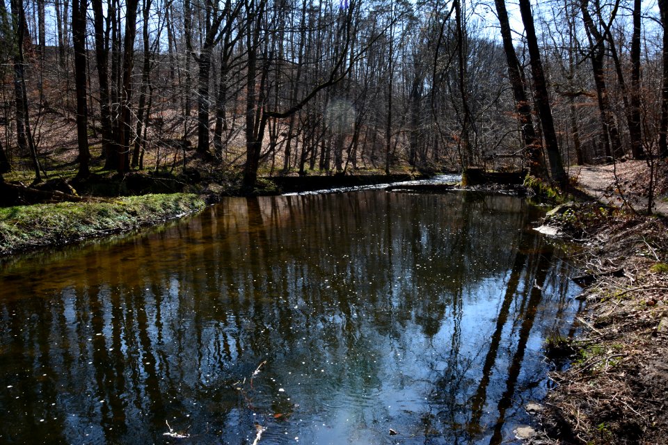 Wehr im Seifersdorfer Tal