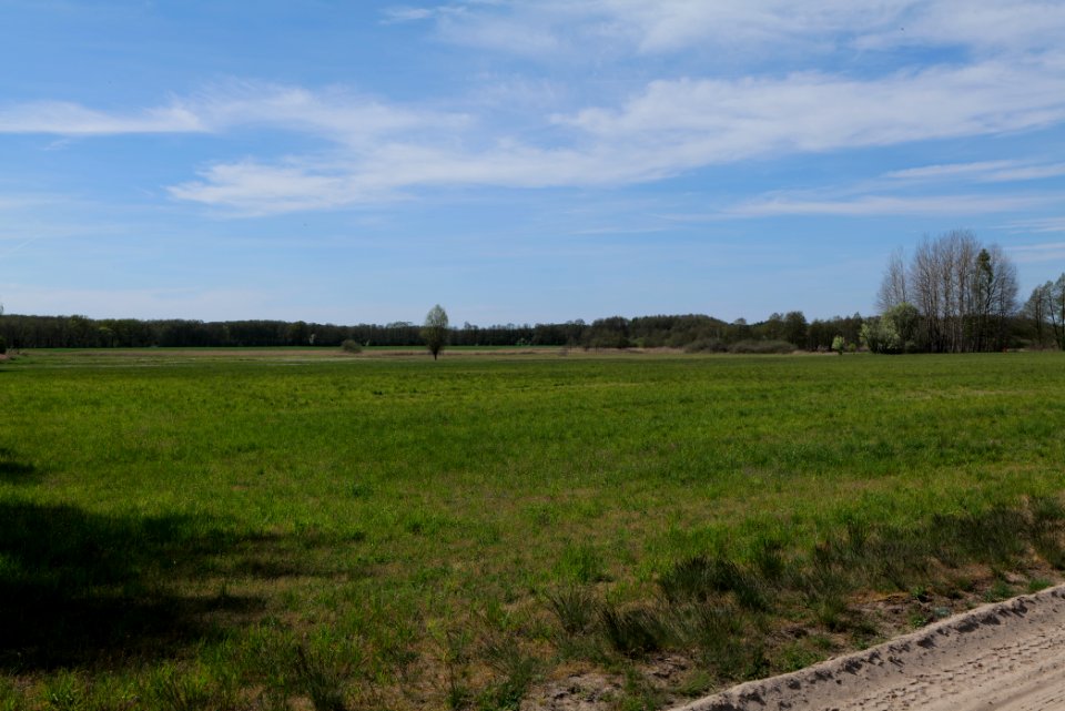 Wehrdamm Mellensee Kleiner Wünsdorfer See 2021-05-09 95