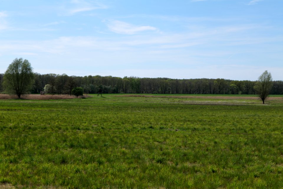 Wehrdamm Mellensee Kleiner Wünsdorfer See 2021-05-09 89