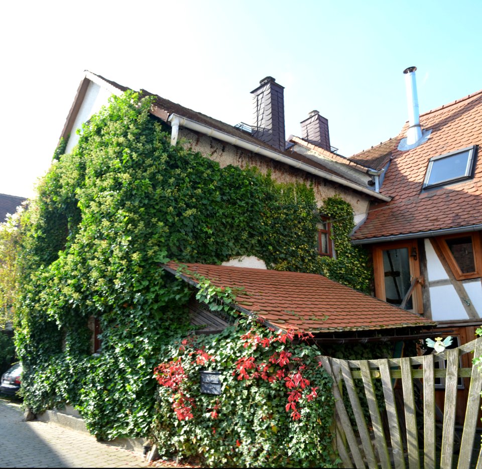 Wehrheim, Zur Burg 8