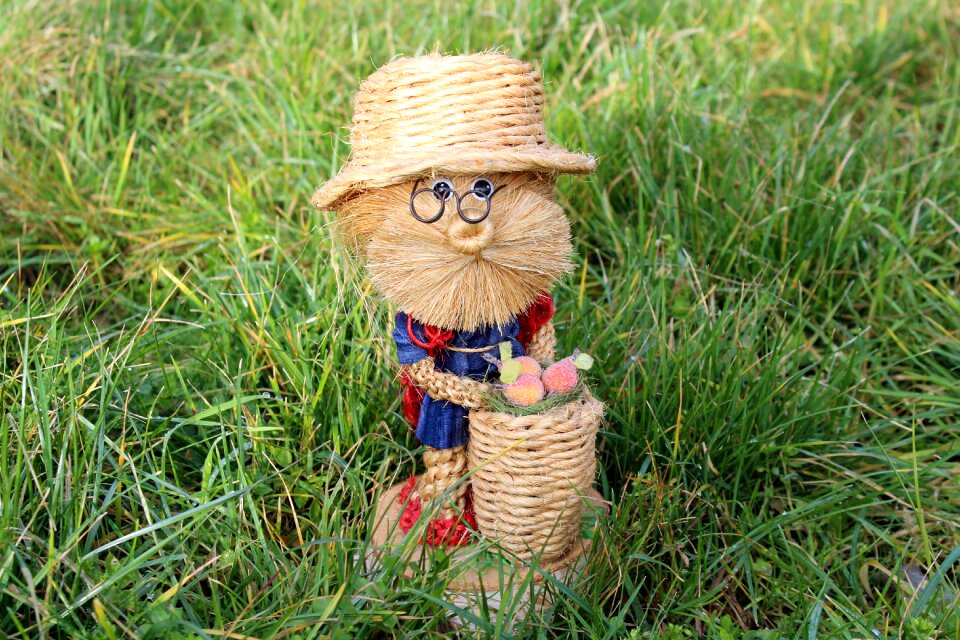 The gardener lawn nature