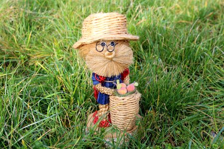 The gardener lawn nature