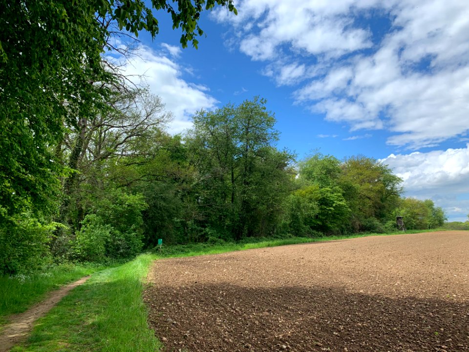 Wehrley von Runkel, (2)
