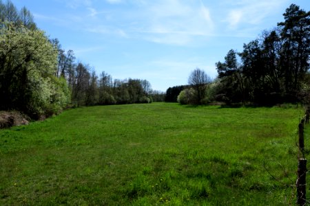 Wehrdamm Mellensee Kleiner Wünsdorfer See 2021-05-09 18