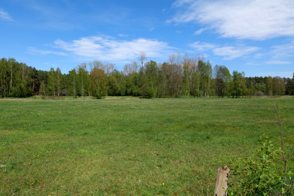 Wehrdamm Mellensee Kleiner Wünsdorfer See 2021-05-09 62