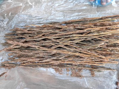 Weed (Cannabis indica)