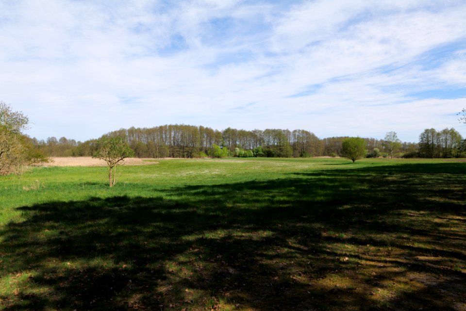 Wehrdamm Mellensee Kleiner Wünsdorfer See 2021-05-09 141