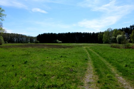 Wehrdamm Mellensee Kleiner Wünsdorfer See 2021-05-09 67