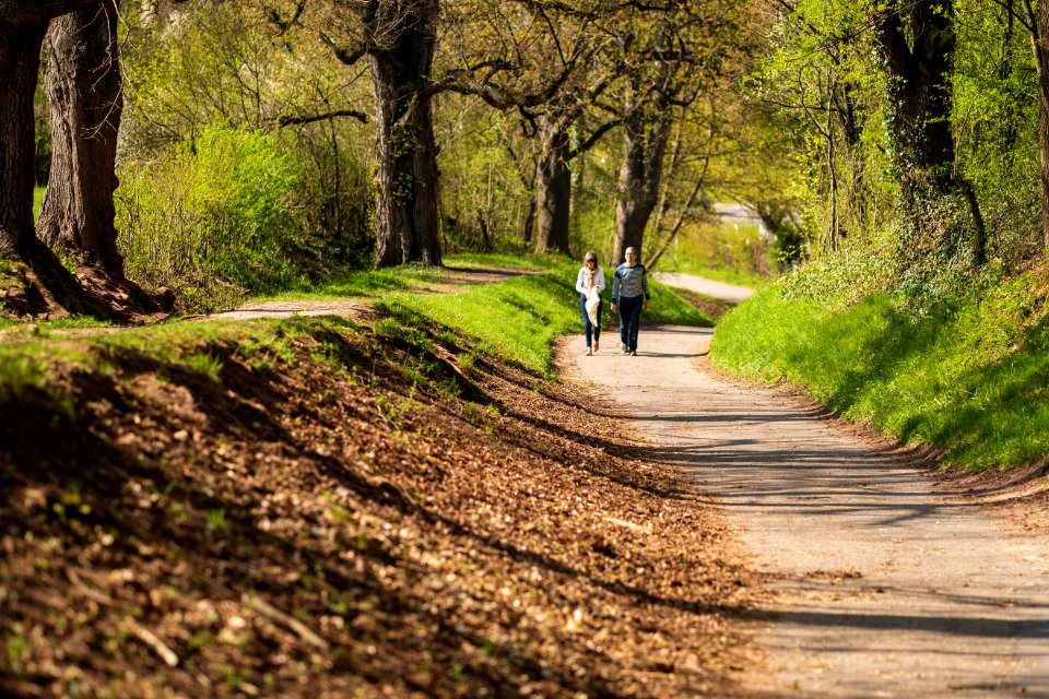 Weg auf den Galgenberg in Tübingen