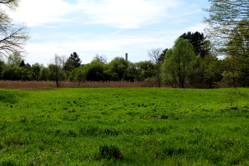 Wehrdamm Mellensee Kleiner Wünsdorfer See 2021-05-09 152
