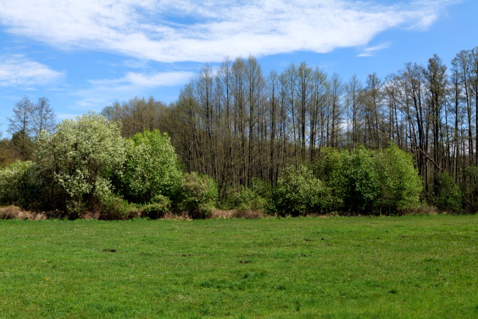 Wehrdamm Mellensee Kleiner Wünsdorfer See 2021-05-09 34