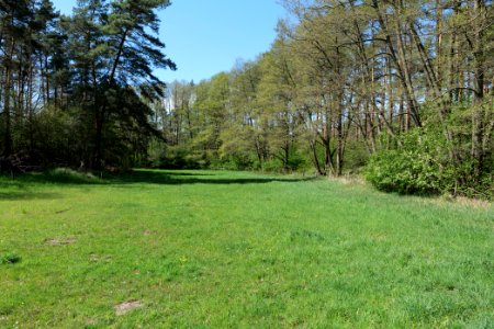 Wehrdamm Mellensee Kleiner Wünsdorfer See 2021-05-09 15