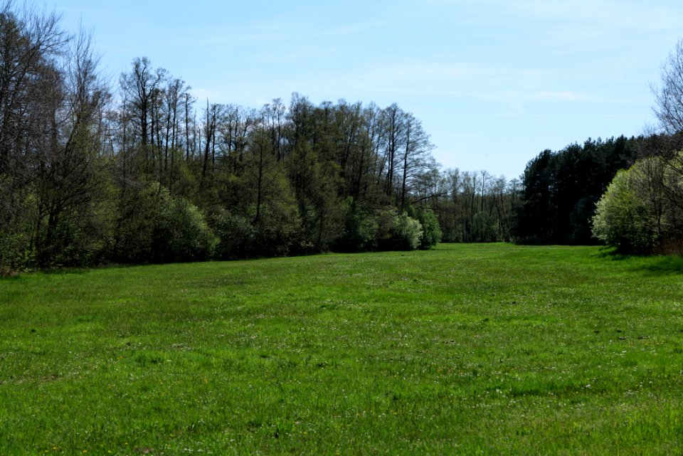 Wehrdamm Mellensee Kleiner Wünsdorfer See 2021-05-09 21