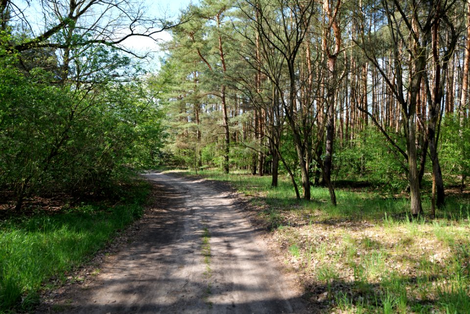 Wehrdamm Mellensee Kleiner Wünsdorfer See 2021-05-09 147
