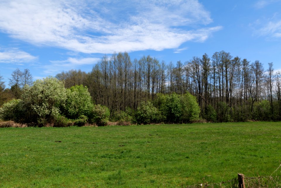 Wehrdamm Mellensee Kleiner Wünsdorfer See 2021-05-09 30