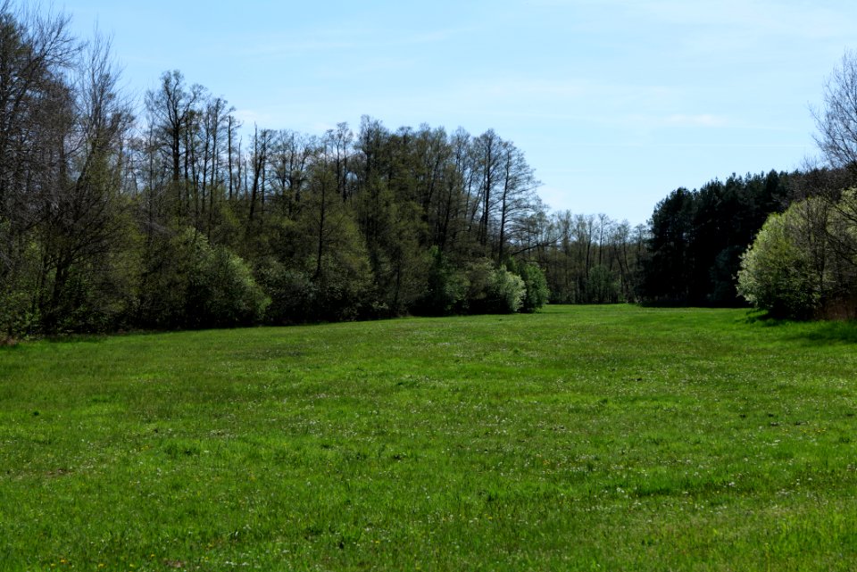 Wehrdamm Mellensee Kleiner Wünsdorfer See 2021-05-09 22