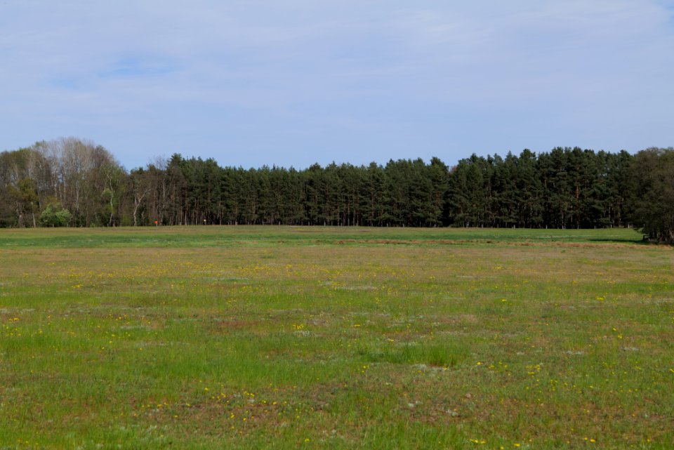 Wehrdamm Mellensee Kleiner Wünsdorfer See 2021-05-09 146