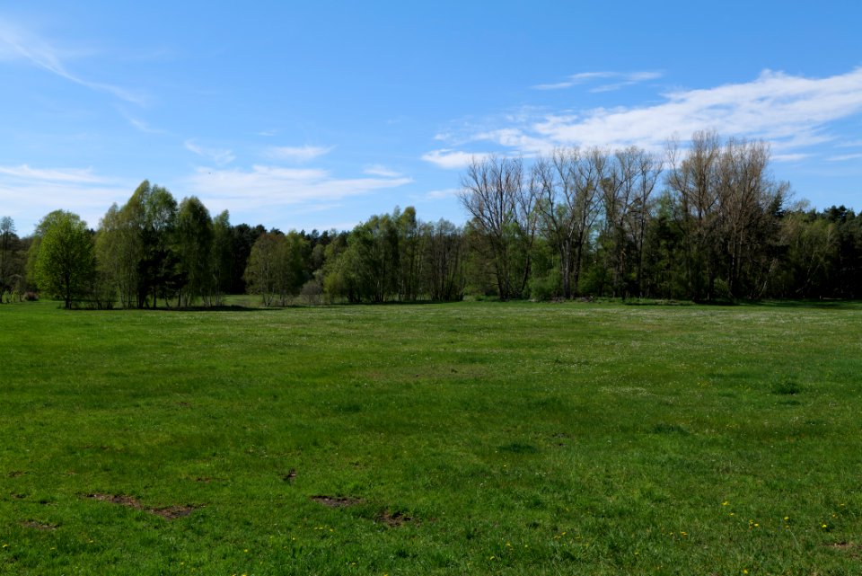 Wehrdamm Mellensee Kleiner Wünsdorfer See 2021-05-09 41