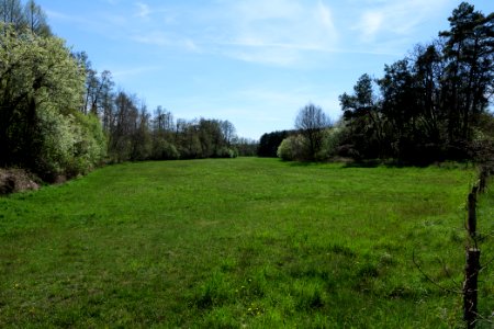 Wehrdamm Mellensee Kleiner Wünsdorfer See 2021-05-09 17