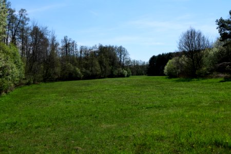 Wehrdamm Mellensee Kleiner Wünsdorfer See 2021-05-09 23