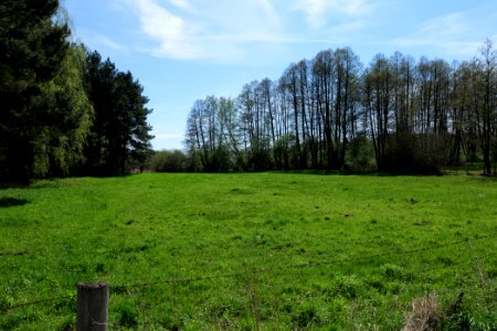 Wehrdamm Mellensee Kleiner Wünsdorfer See 2021-05-09 48