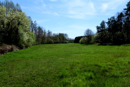 Wehrdamm Mellensee Kleiner Wünsdorfer See 2021-05-09 19