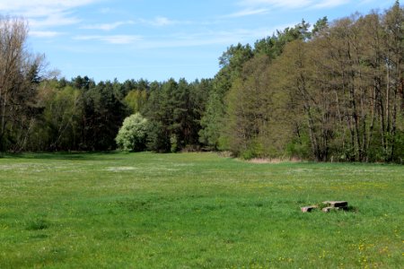 Wehrdamm Mellensee Kleiner Wünsdorfer See 2021-05-09 39