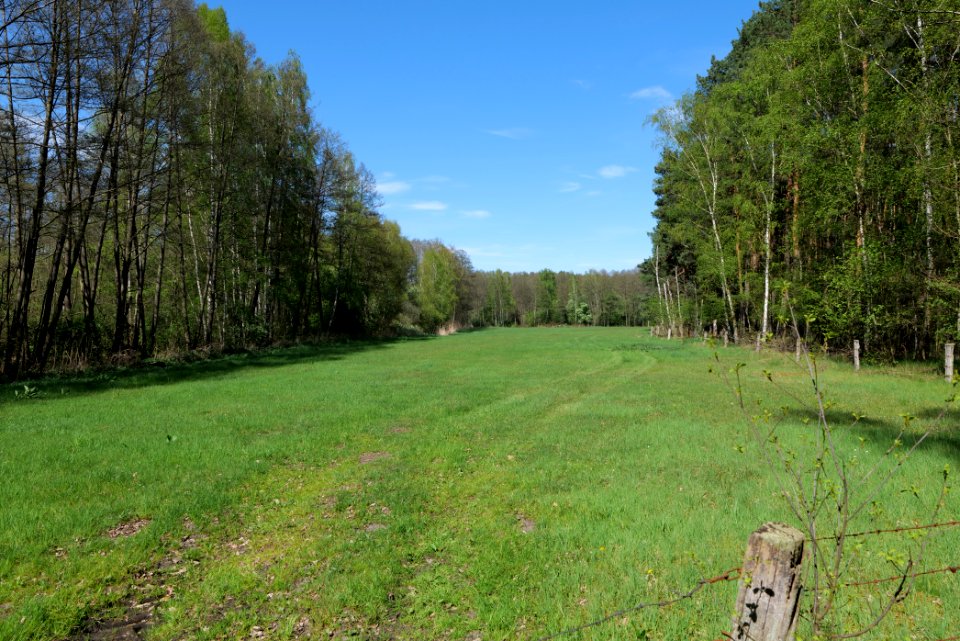 Wehrdamm Mellensee Kleiner Wünsdorfer See 2021-05-09 65