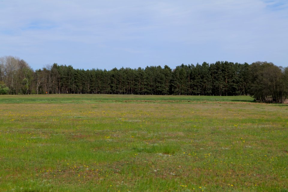Wehrdamm Mellensee Kleiner Wünsdorfer See 2021-05-09 145