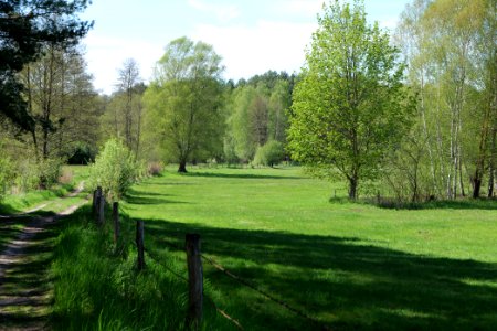 Wehrdamm Mellensee Kleiner Wünsdorfer See 2021-05-09 43