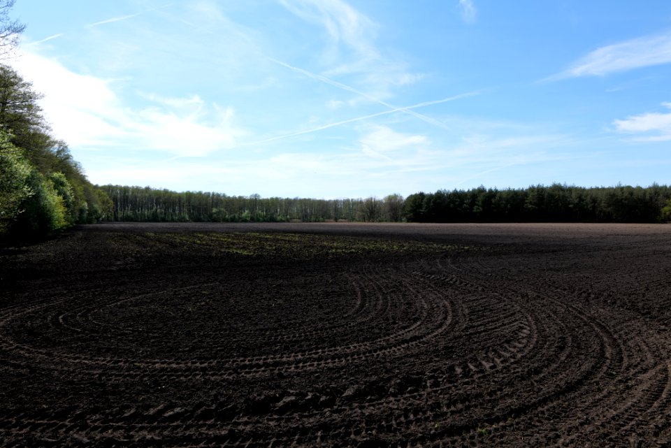 Wehrdamm Mellensee Kleiner Wünsdorfer See 2021-05-09 137