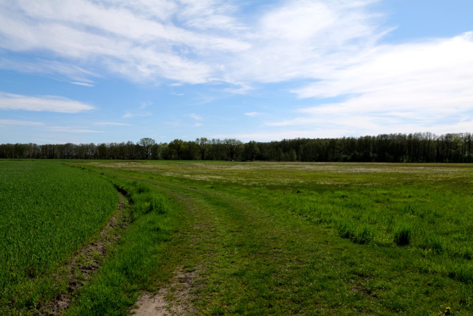 Wehrdamm Mellensee Kleiner Wünsdorfer See 2021-05-09 135