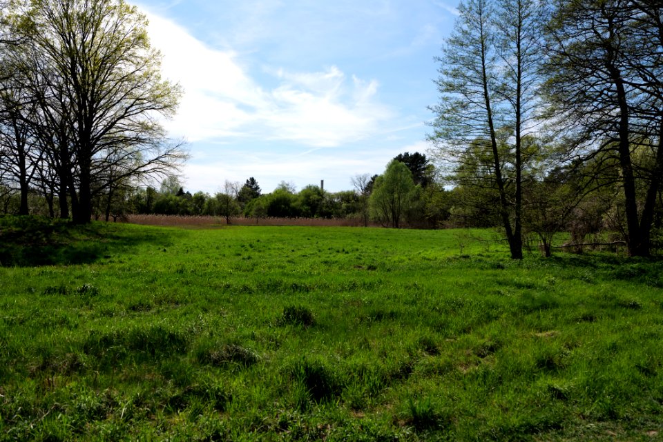 Wehrdamm Mellensee Kleiner Wünsdorfer See 2021-05-09 149