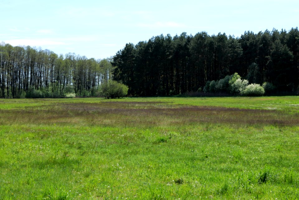 Wehrdamm Mellensee Kleiner Wünsdorfer See 2021-05-09 69