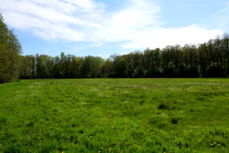 Wehrdamm Mellensee Kleiner Wünsdorfer See 2021-05-09 128