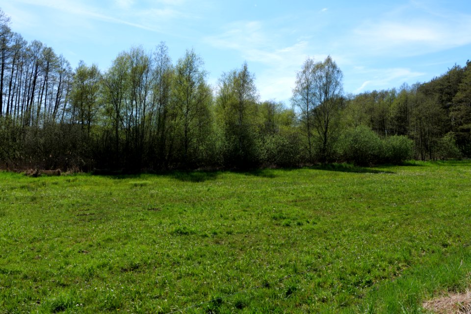 Wehrdamm Mellensee Kleiner Wünsdorfer See 2021-05-09 61