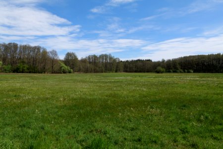 Wehrdamm Mellensee Kleiner Wünsdorfer See 2021-05-09 75