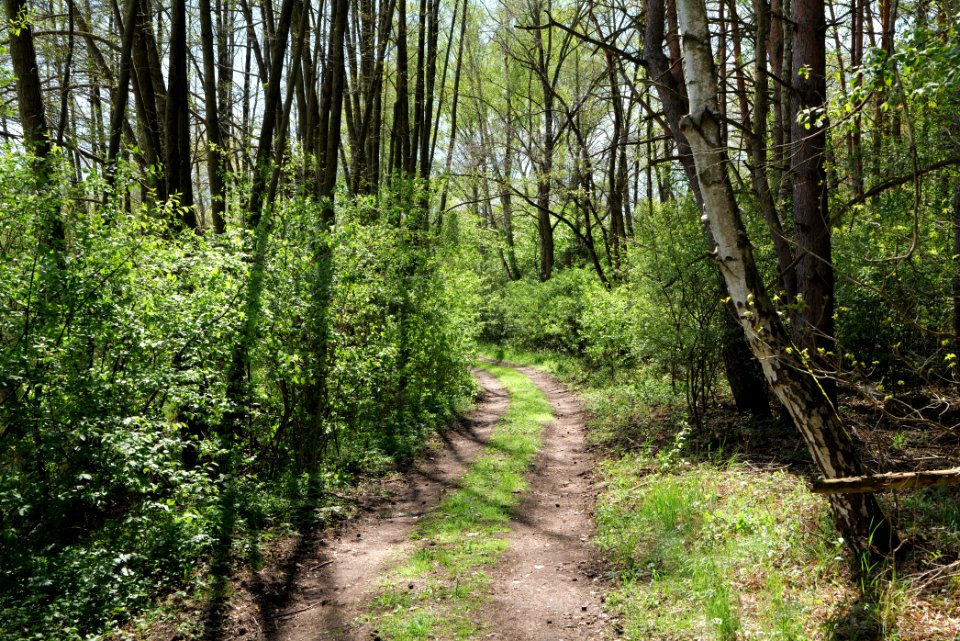 Wehrdamm Mellensee Kleiner Wünsdorfer See 2021-05-09 64