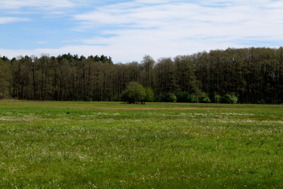 Wehrdamm Mellensee Kleiner Wünsdorfer See 2021-05-09 79