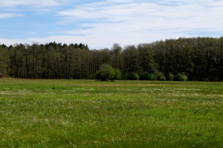 Wehrdamm Mellensee Kleiner Wünsdorfer See 2021-05-09 79
