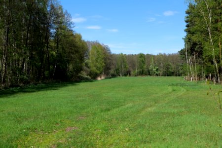 Wehrdamm Mellensee Kleiner Wünsdorfer See 2021-05-09 66
