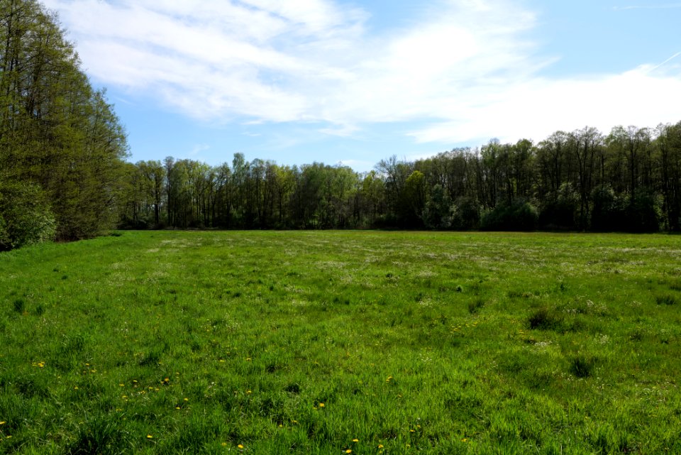 Wehrdamm Mellensee Kleiner Wünsdorfer See 2021-05-09 125