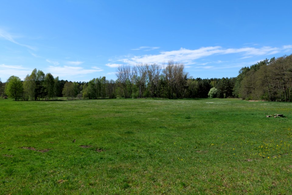 Wehrdamm Mellensee Kleiner Wünsdorfer See 2021-05-09 36
