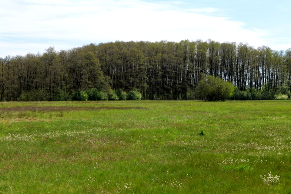 Wehrdamm Mellensee Kleiner Wünsdorfer See 2021-05-09 73